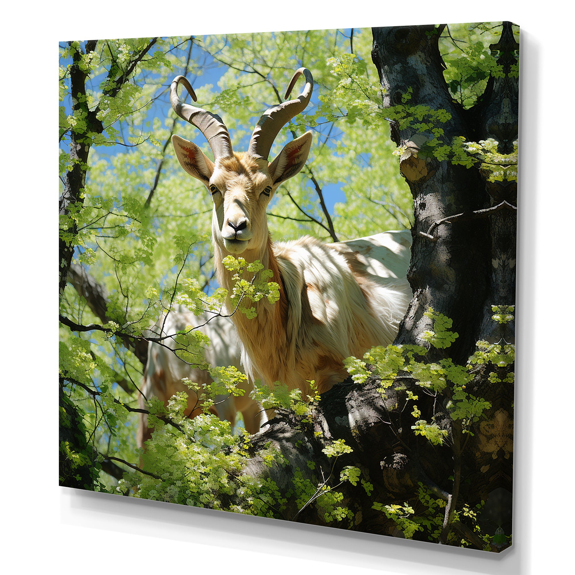 White Portrait of Pastoral Goat in forest - White Goat Wall Art