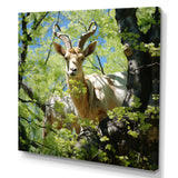 White Portrait of Pastoral Goat in forest - White Goat Wall Art