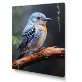 Dusk Plummet bird - Bird Wall Art Prints