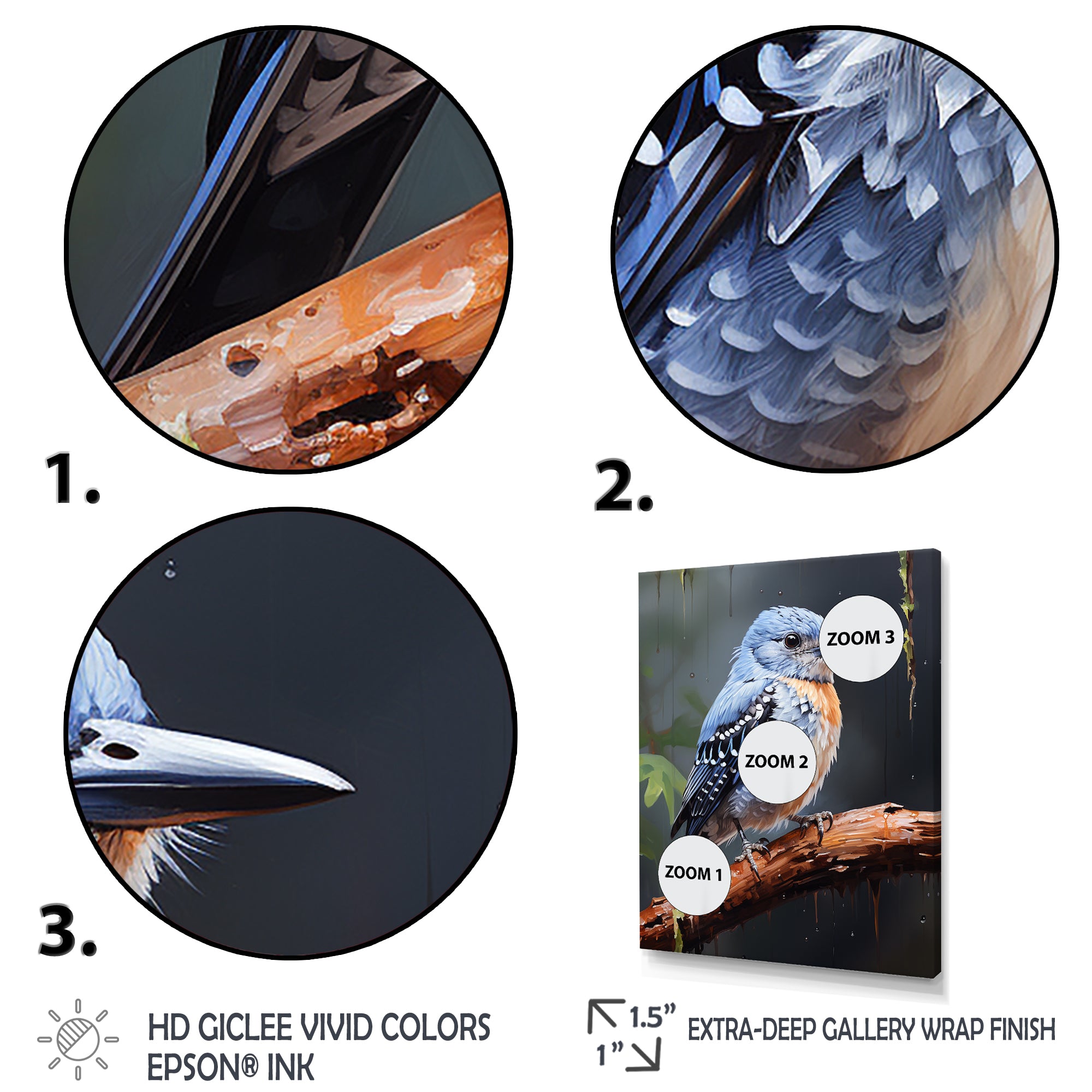 Dusk Plummet bird - Bird Wall Art Prints