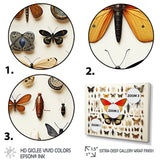 Orange Insects and Bugs - Yellow Insects & Bugs Wall Art