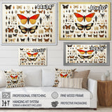 Orange Insects and Bugs - Yellow Insects & Bugs Wall Art