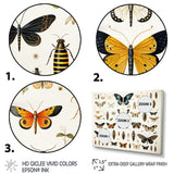 Blue and yellow Insects and Bugs - Insects & Bugs Home Decor Art