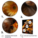 Yellow Autumn Monkey Palette - Monkey Canvas Wall Art