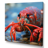 Coastal Crawler Portrait of a Lobster - Lobster Home Decor Art