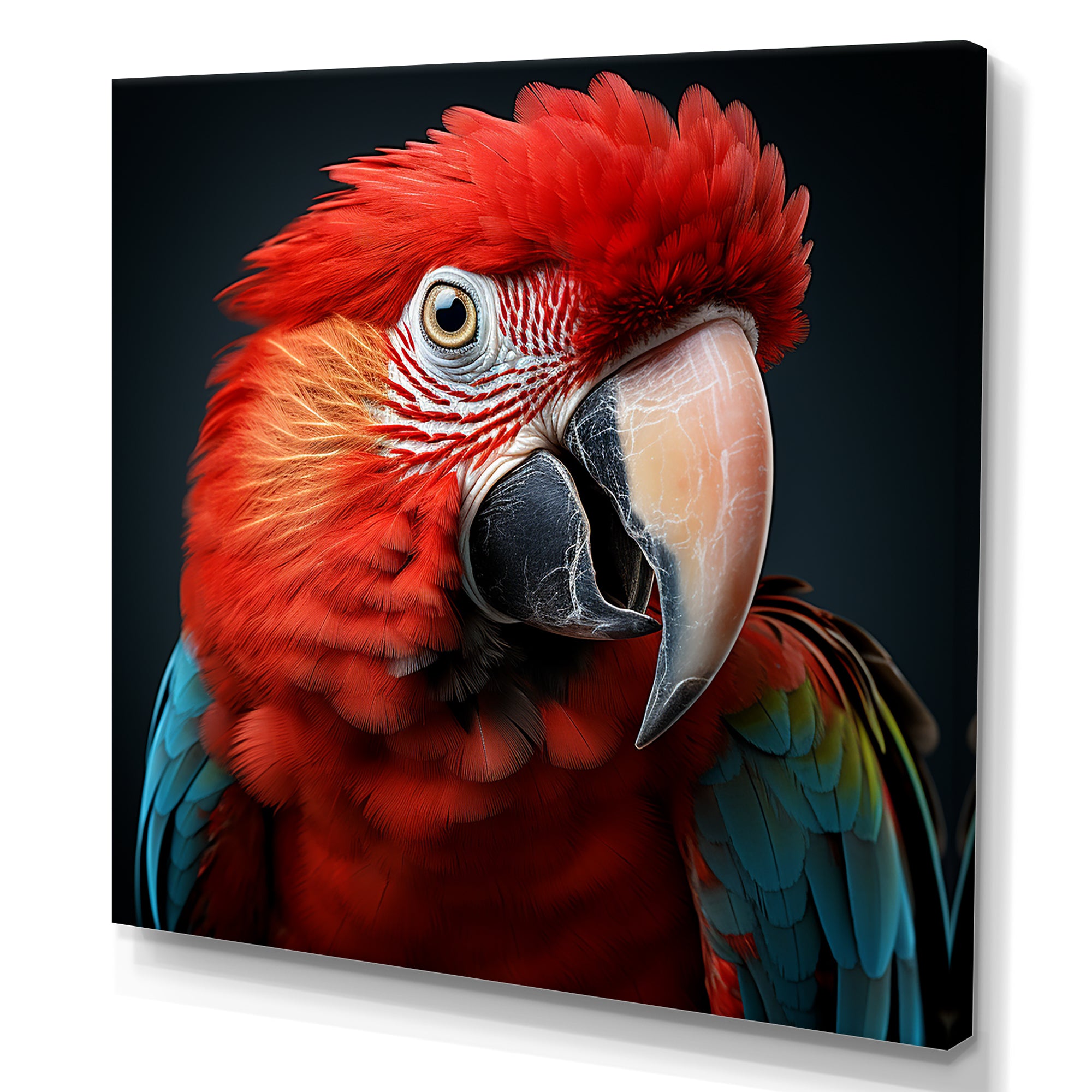 Red Parrot portrait photo - Parrot Wall Art Prints