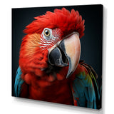 Red Parrot portrait photo - Parrot Wall Art Prints