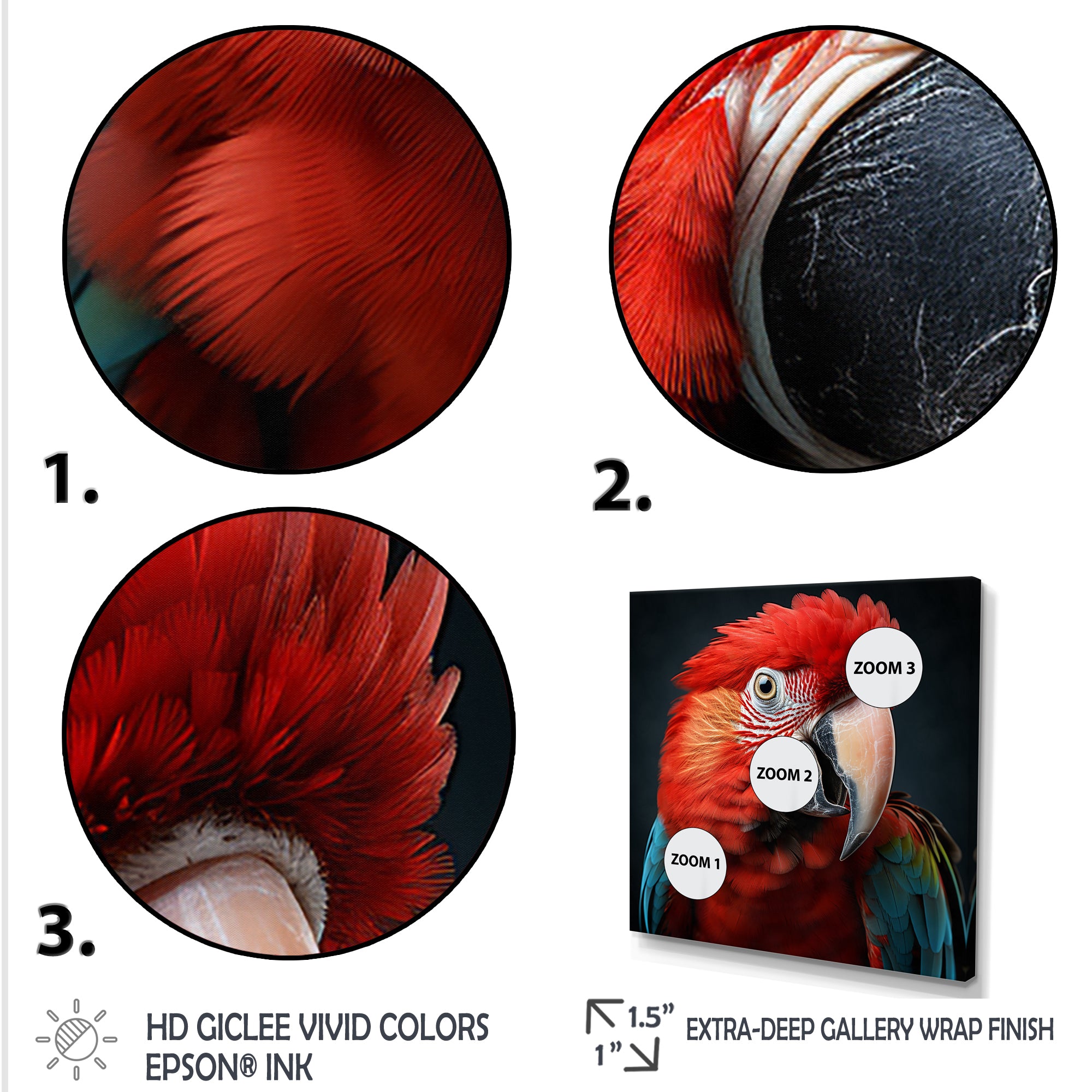 Red Parrot portrait photo - Parrot Wall Art Prints