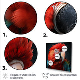 Red Parrot portrait photo - Parrot Wall Art Prints
