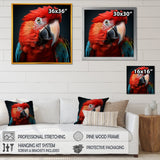 Red Parrot portrait photo - Parrot Wall Art Prints