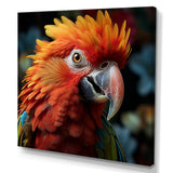 Orange Parrot portrait photo - Parrot Wall Art Prints