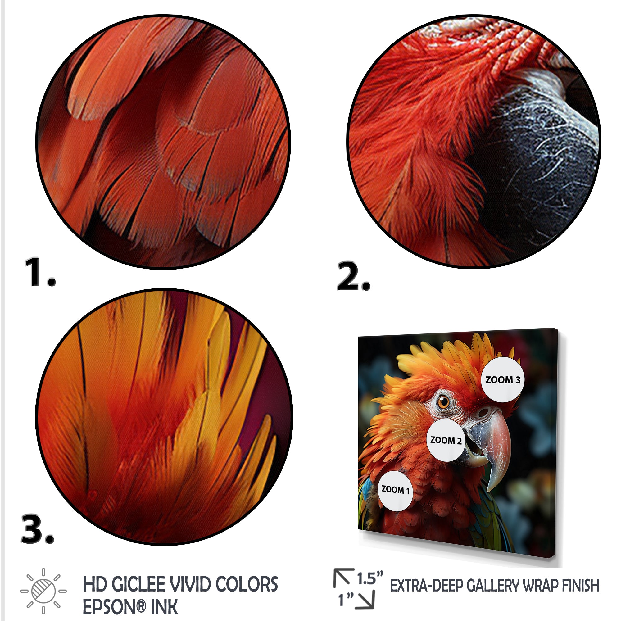 Orange Parrot portrait photo - Parrot Wall Art Prints