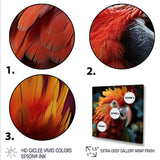 Orange Parrot portrait photo - Parrot Wall Art Prints