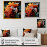 Orange Parrot portrait photo - Parrot Wall Art Prints