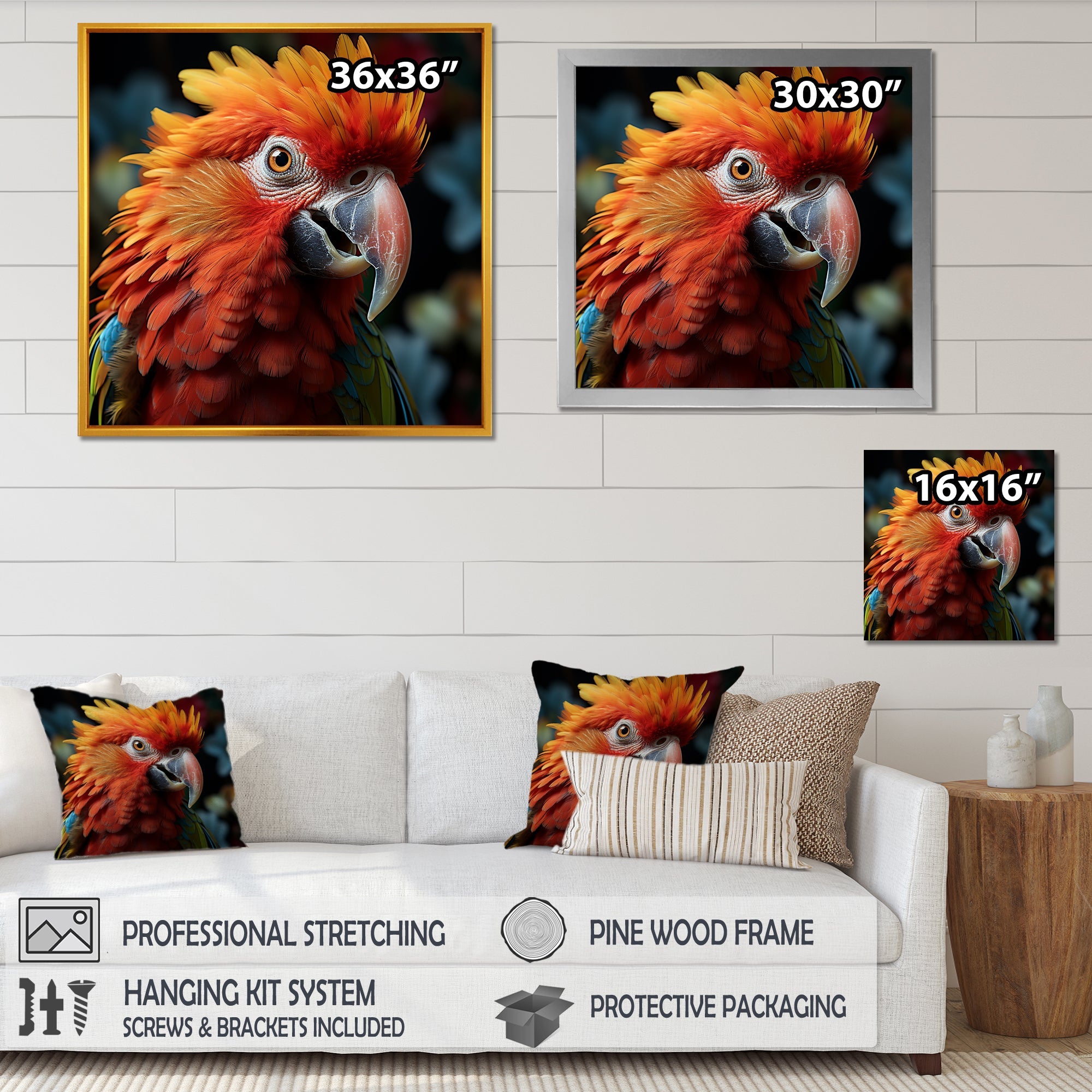 Orange Parrot portrait photo - Parrot Wall Art Prints