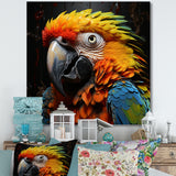 Yellow and blue Parrot portrait photo - Yellow Parrot Wall Art