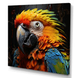 Yellow and blue Parrot portrait photo - Yellow Parrot Wall Art