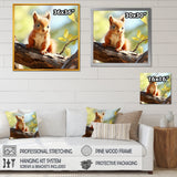 Forest cute Squirrel - Squirrel Large Canvas Wall Art