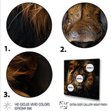 Midnight golden lion - Lion Bedroom Wall Art