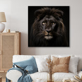 Midnight black lion - Lion Canvas Wall Art