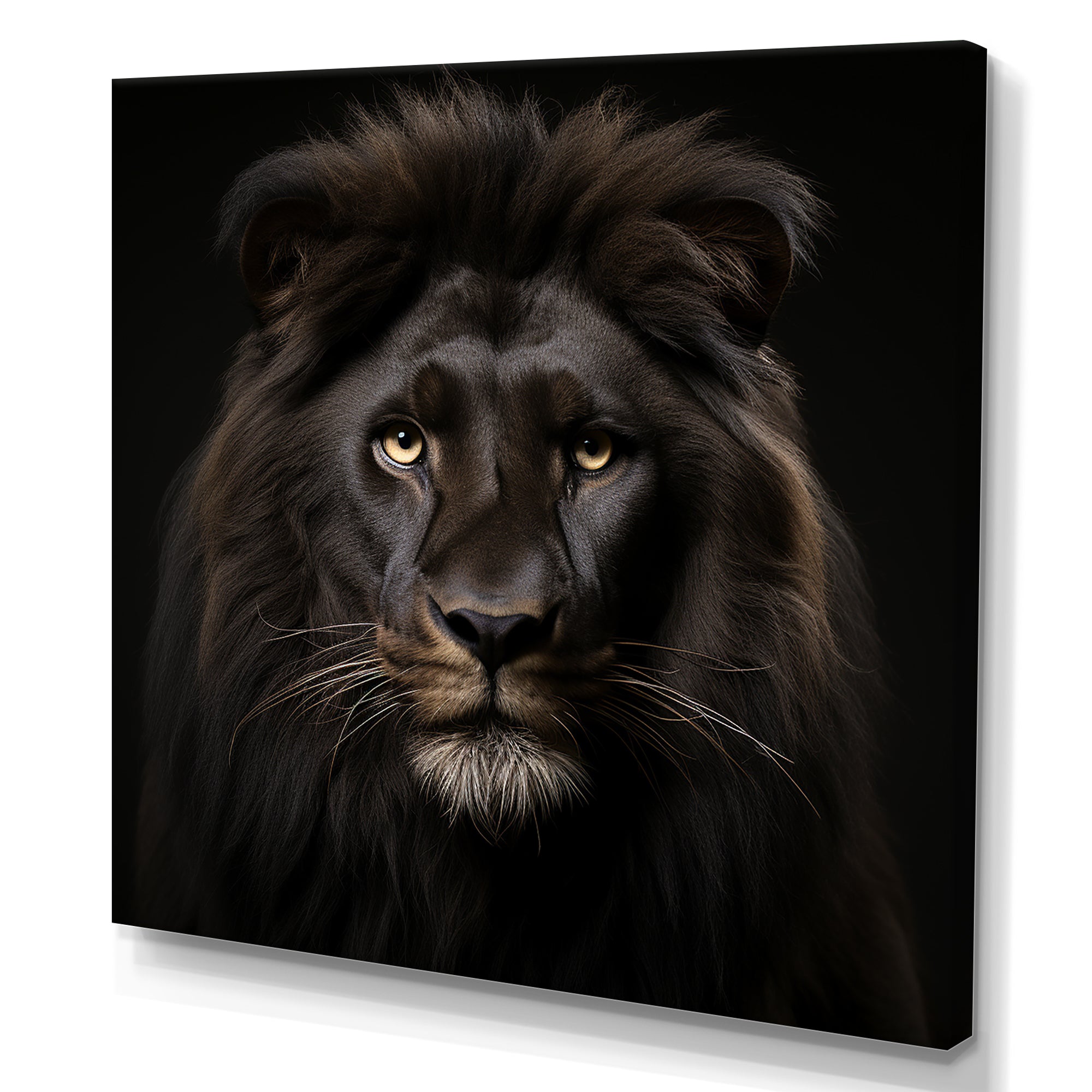 Midnight black lion - Lion Canvas Wall Art