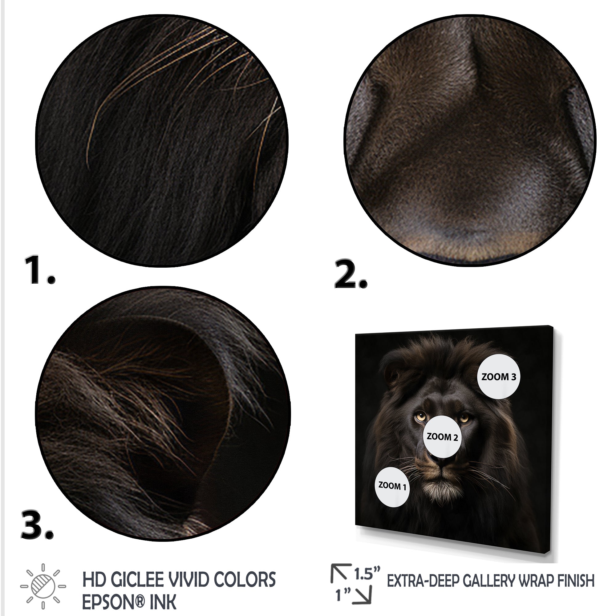 Midnight black lion - Lion Canvas Wall Art