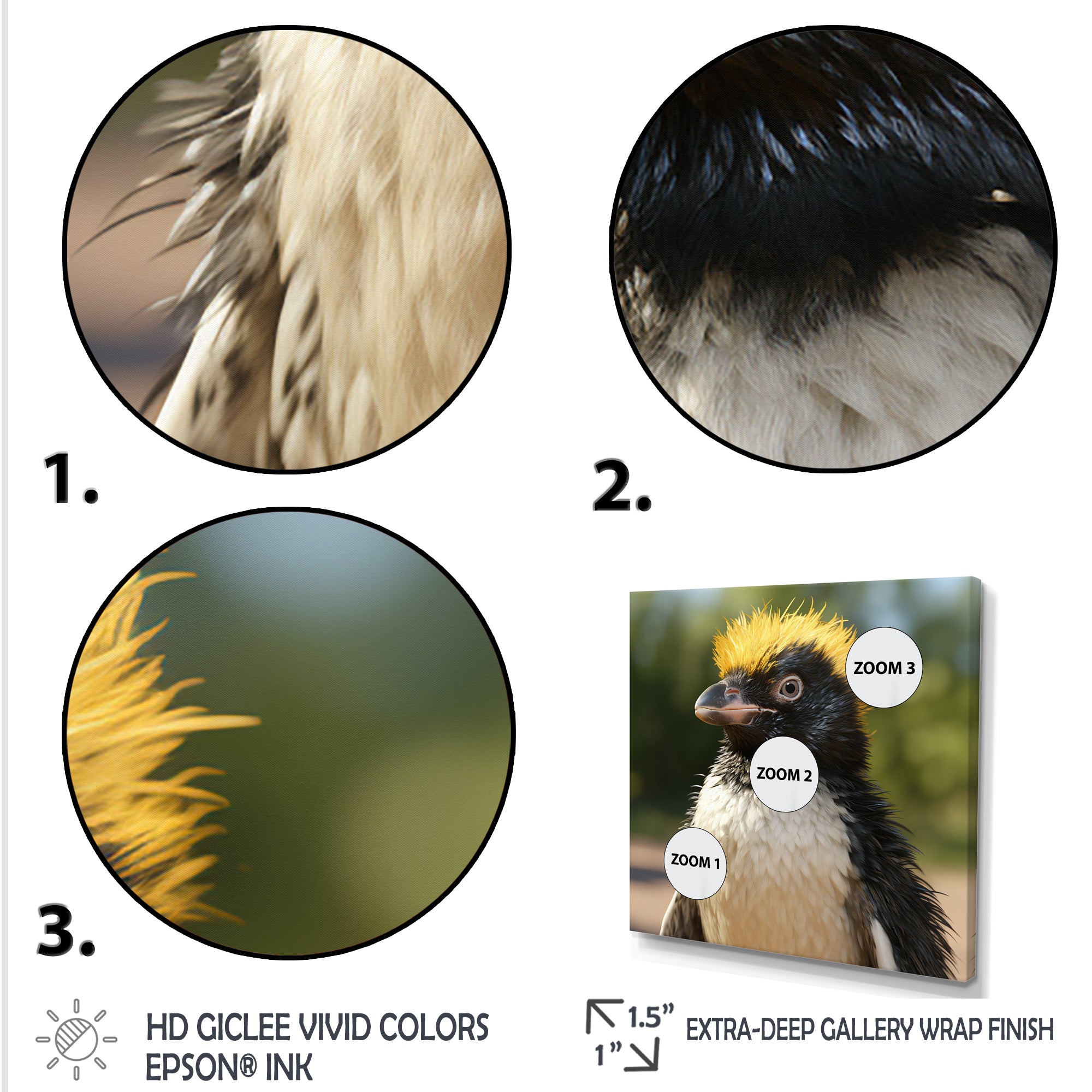 Penguin photo portrait - Black Penguin Wall Art