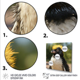 Penguin photo portrait - Black Penguin Wall Art