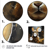 Curious floral rabbit meadow photo - Rabbit Living Room Wall Art