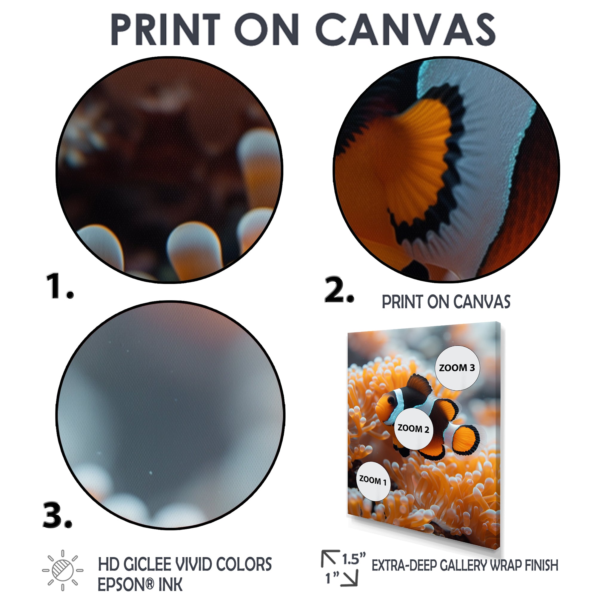 Orange white coral clown fish Marvel - Coral Bedroom Wall Art