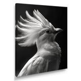 Monochrome white black graceful Bird - Bird Wall Decor