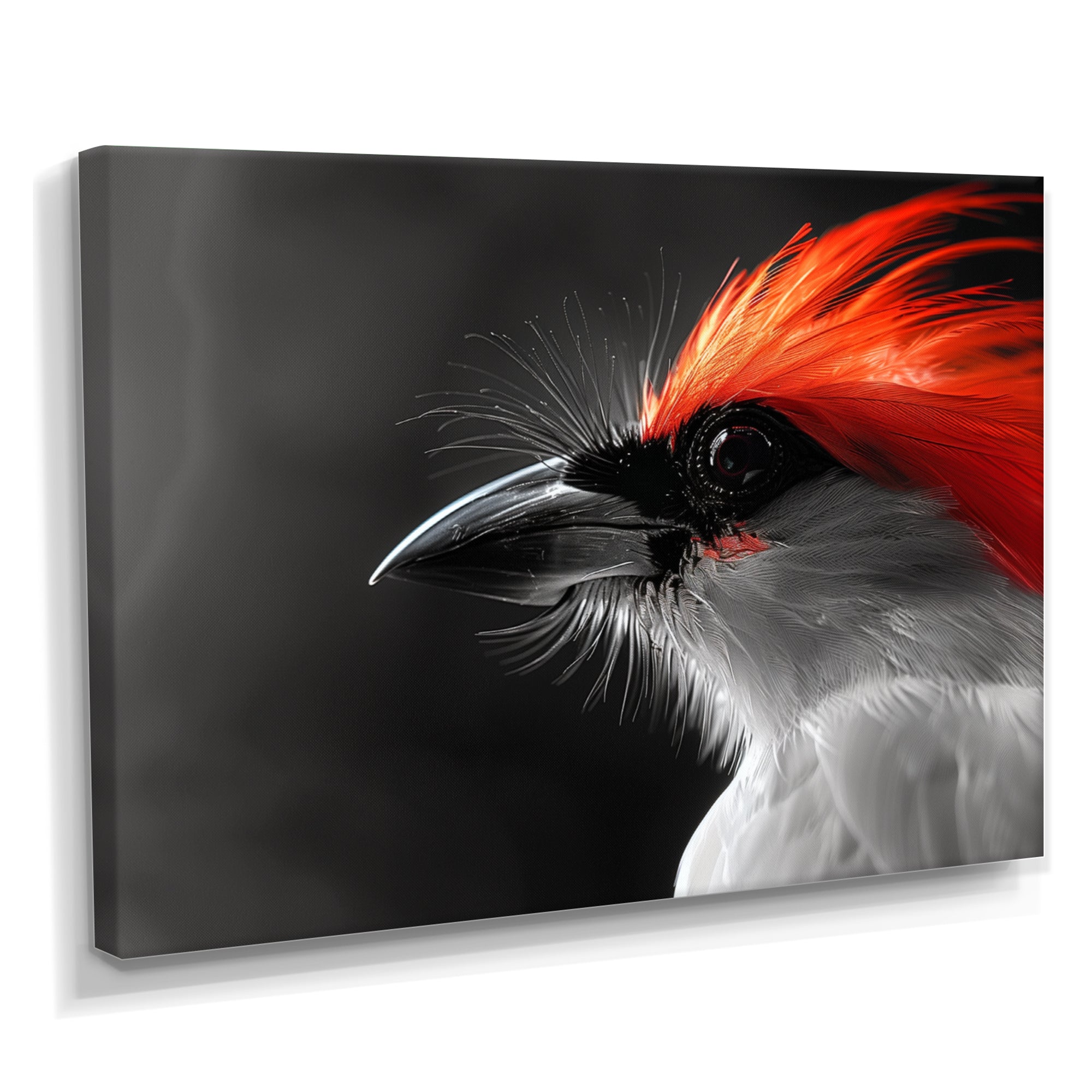 Red black Whispers Bird of Paradise - Bird Bedroom Wall Art