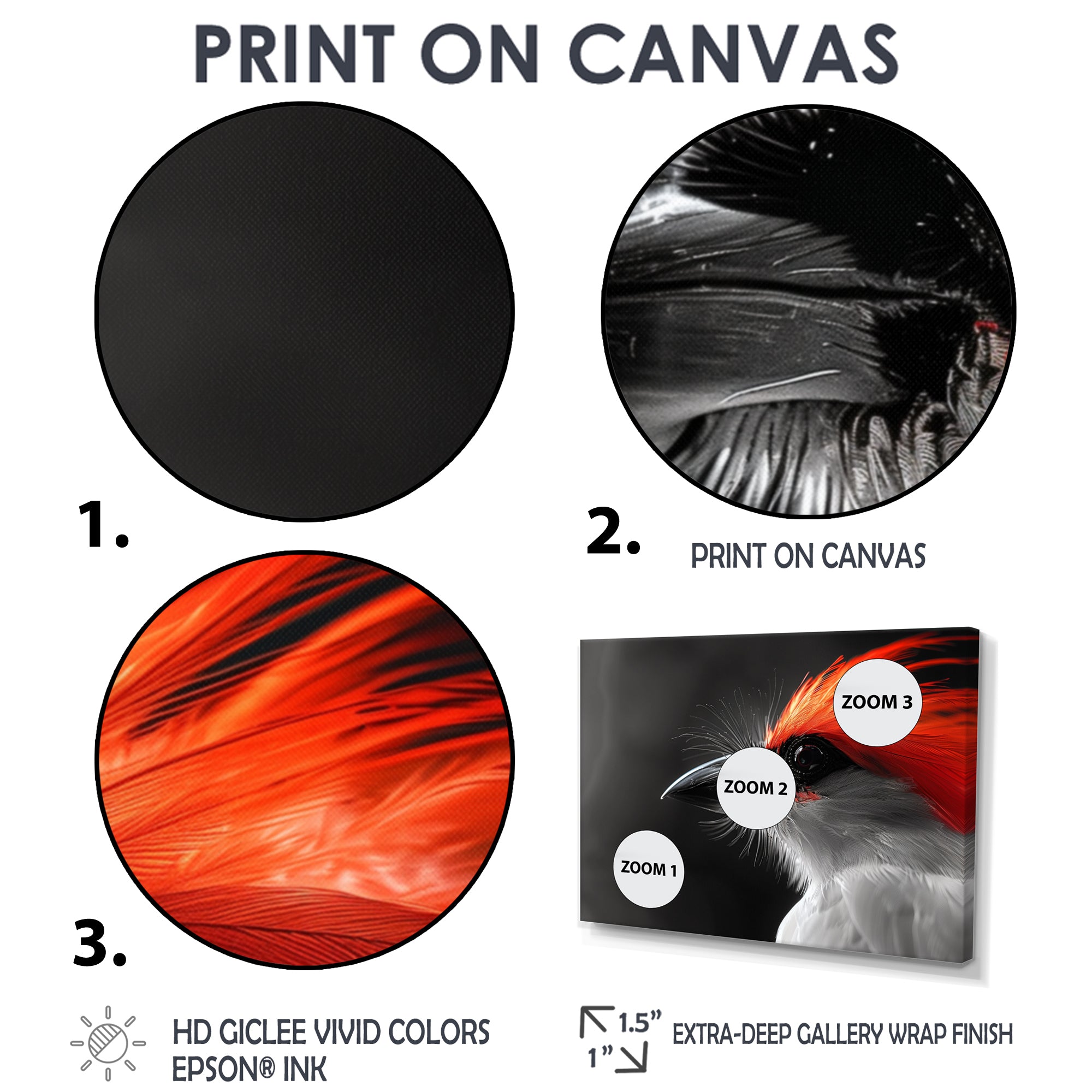 Red black Whispers Bird of Paradise - Bird Bedroom Wall Art