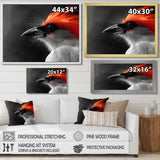 Red black Whispers Bird of Paradise - Bird Bedroom Wall Art