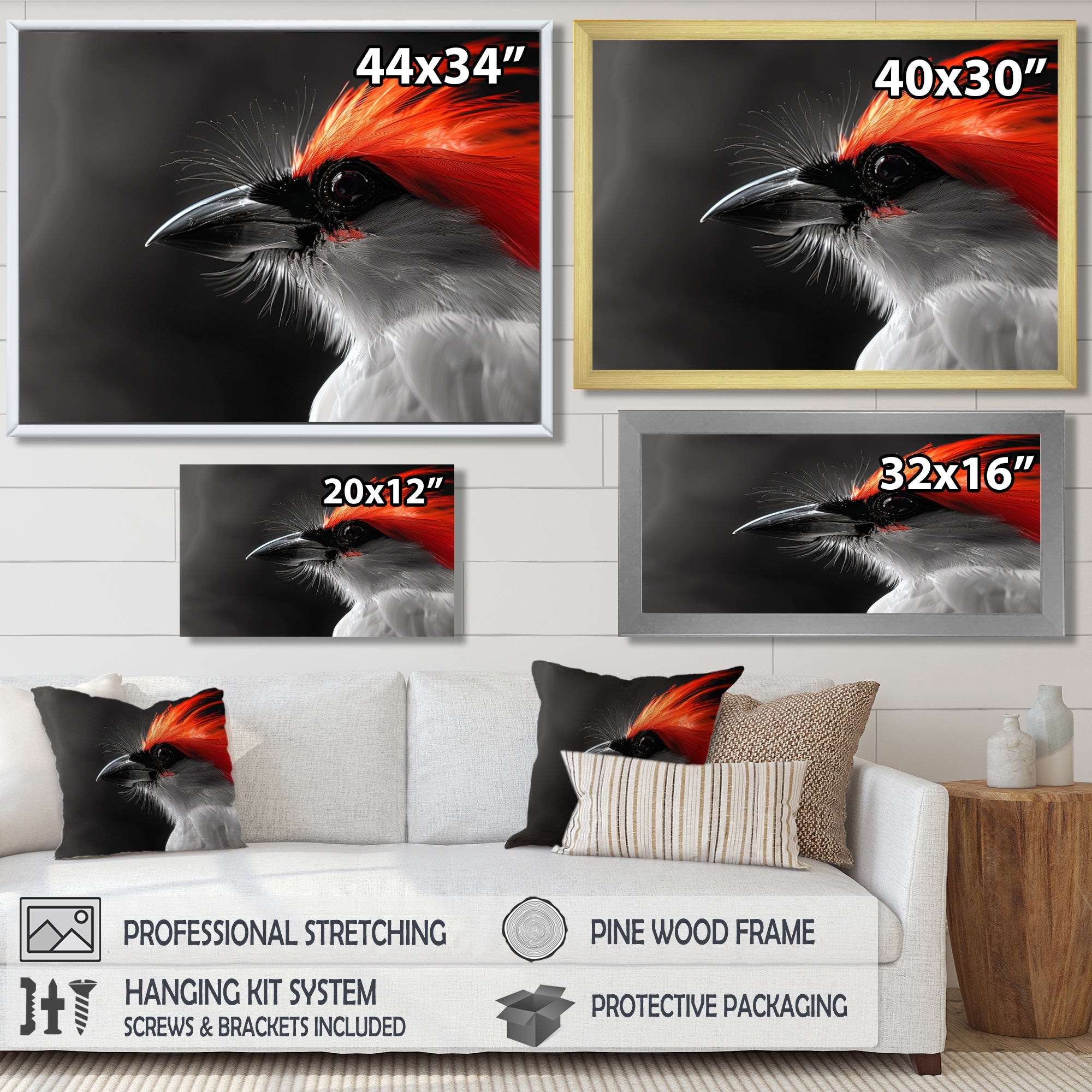 Red black Whispers Bird of Paradise - Bird Bedroom Wall Art