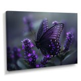 Purple black Butterfly beauty on flower - Butterfly Canvas Wall Art