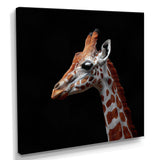 Brown giraffe profile on black - White Giraffe Wall Art