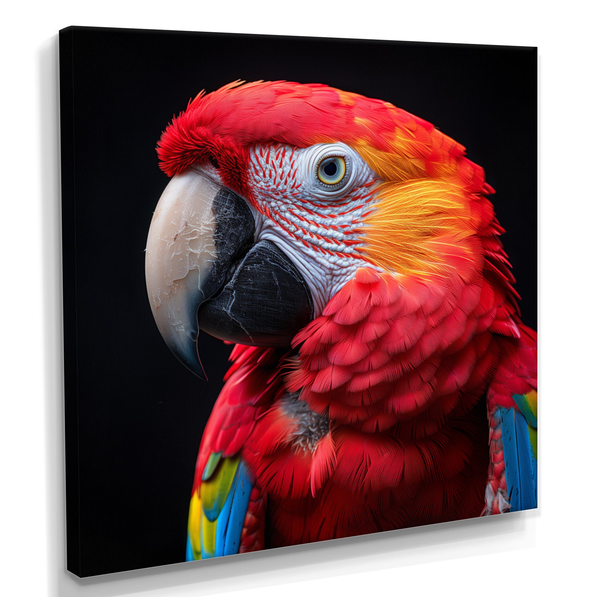 Red and orange parrot portrait on black - Parrot Canvas Wall Art