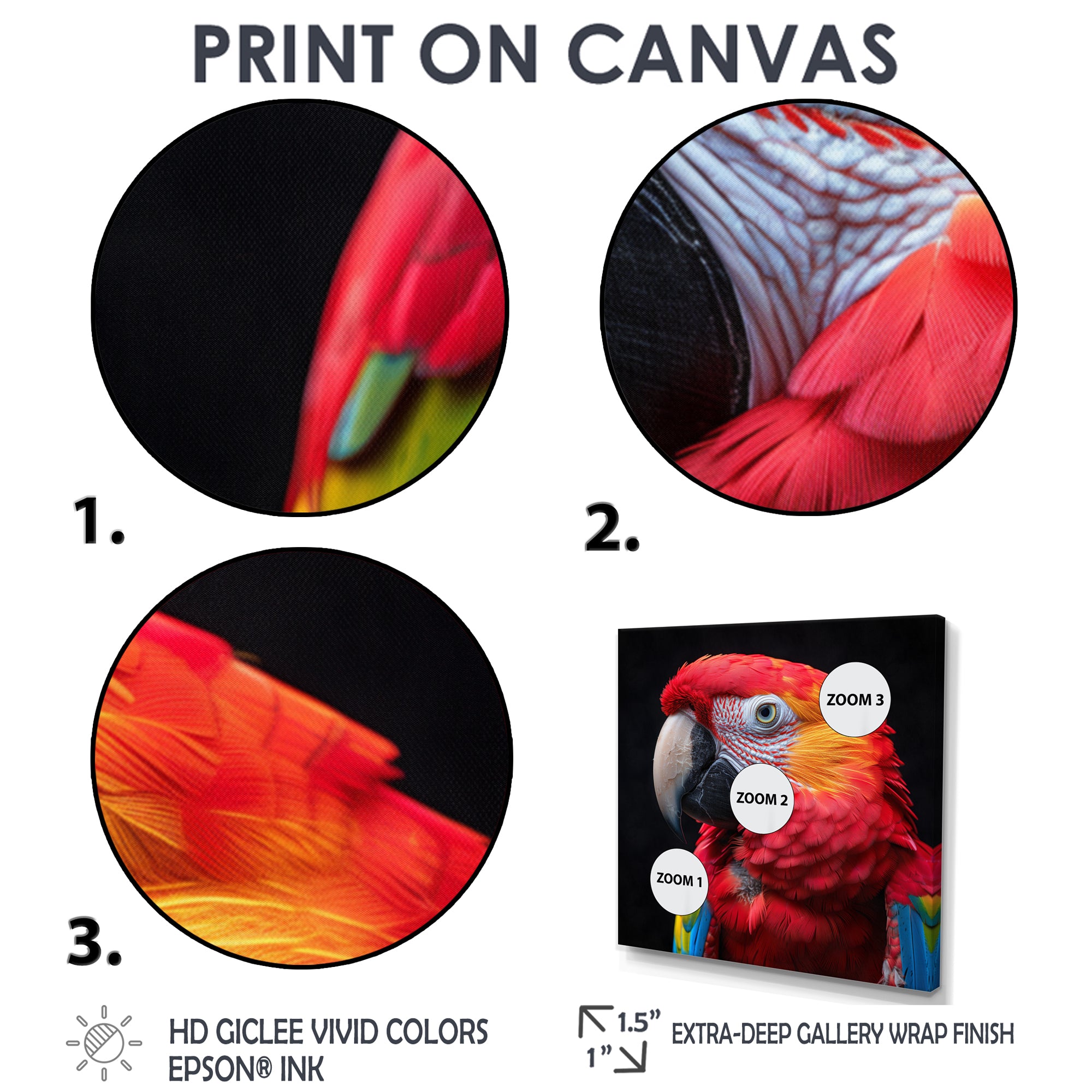 Red and orange parrot portrait on black - Parrot Canvas Wall Art