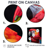Red and orange parrot portrait on black - Parrot Canvas Wall Art
