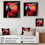 Red and orange parrot portrait on black - Parrot Canvas Wall Art