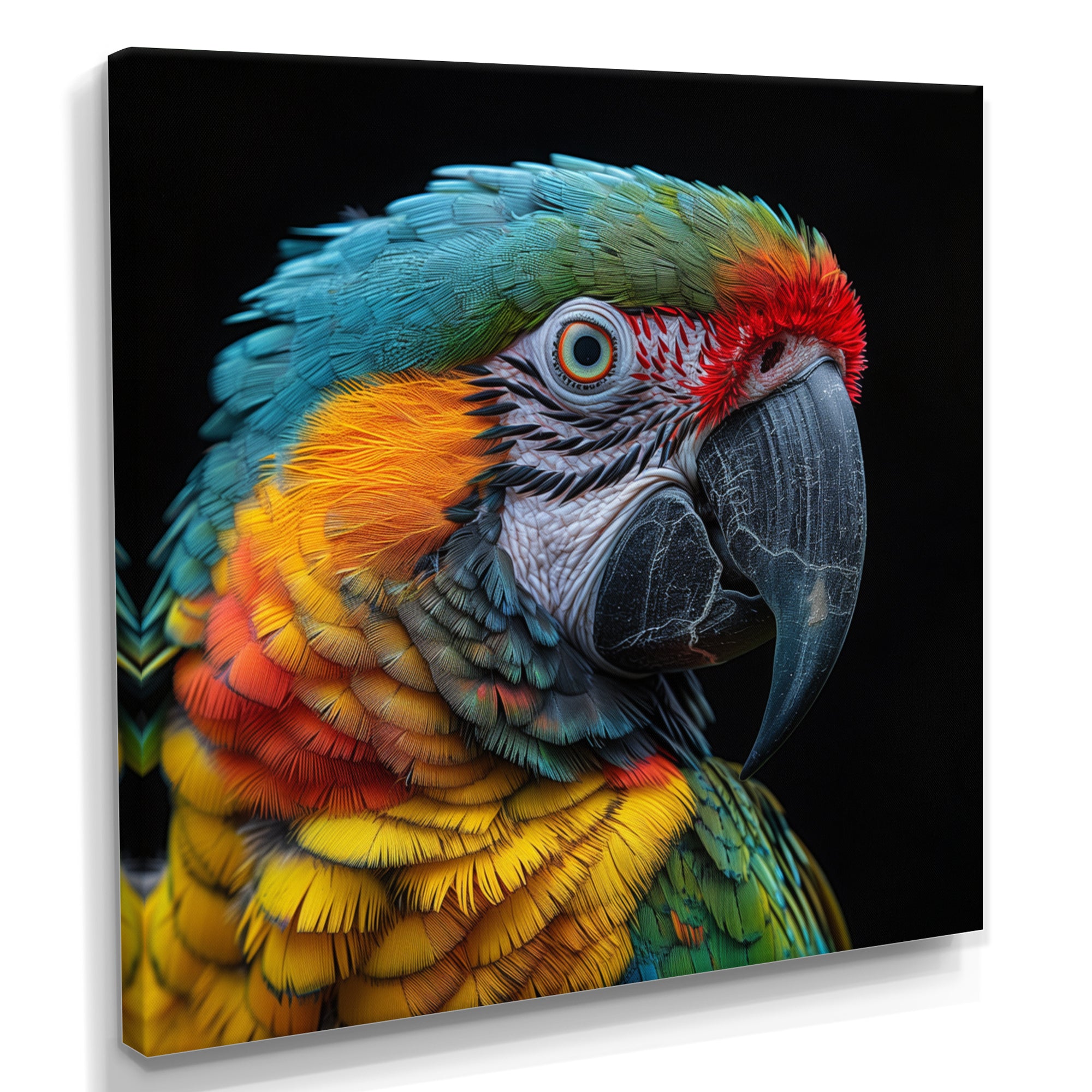 Green and yellow parrot portrait on black - Parrot Wall Decor
