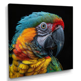 Green and yellow parrot portrait on black - Parrot Wall Decor