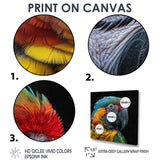 Green and yellow parrot portrait on black - Parrot Wall Decor