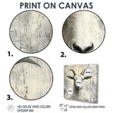 Grey And Minimalism Coastal Goats - Goat Canvas Wall Art