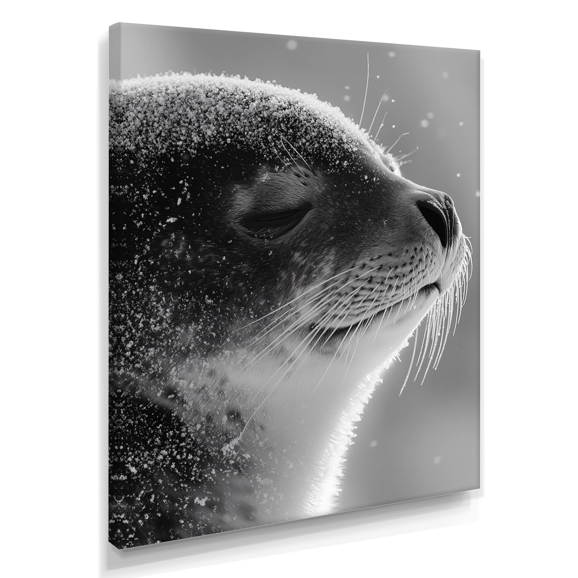 Monochrome Black Seal Accented With Grey - Seal Wall Decor