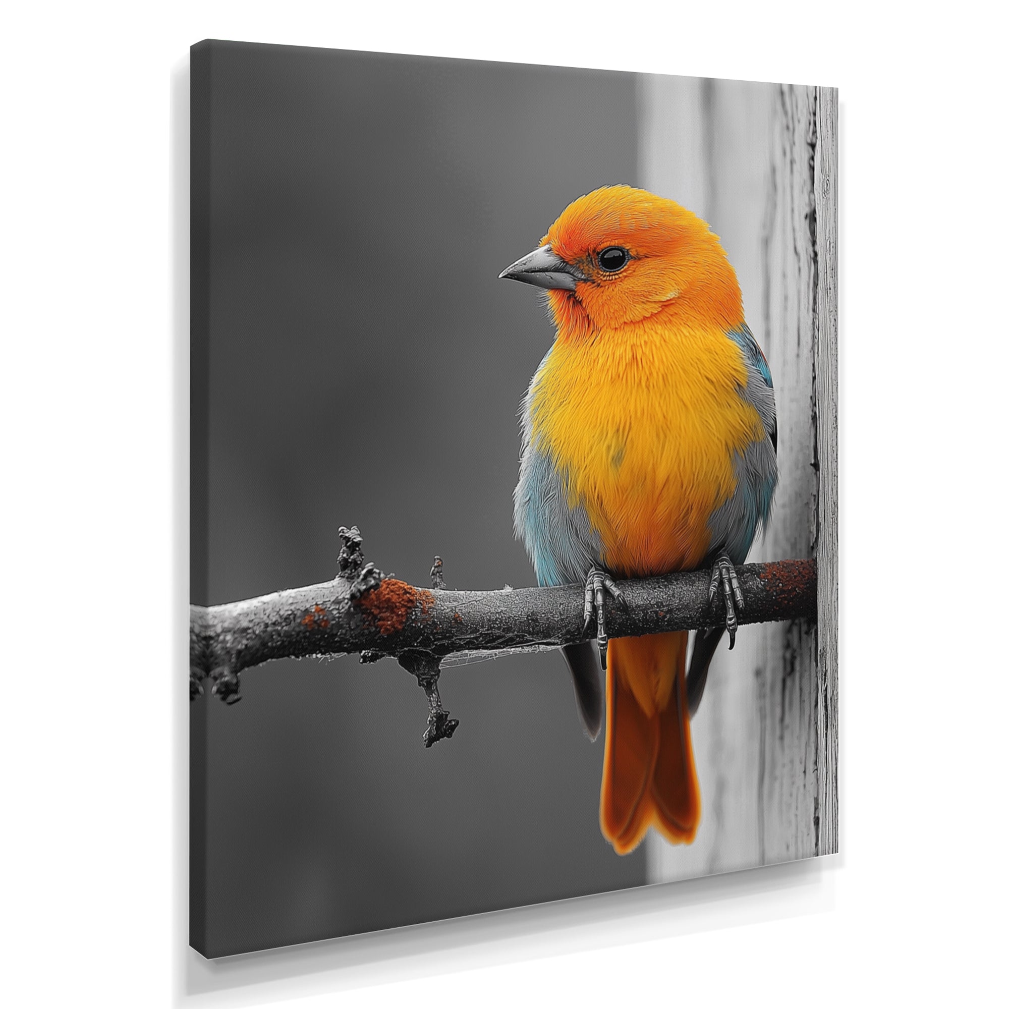 Yellow Chickadee's Bird House Branch - Bird House Home Decor Art