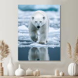 Polar Bear On The Ice Floes - Bear Wall Art Prints