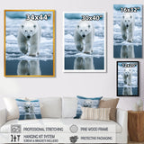 Polar Bear On The Ice Floes - Bear Wall Art Prints