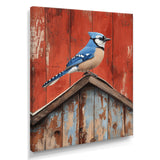 Blue Jay On The Barn Roof - Blue Bird Wall Art